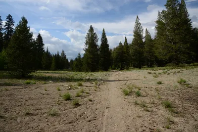 DSC_3271 (Large).JPG